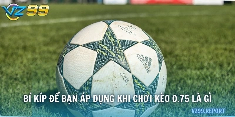 Bí kíp để bạn áp dụng khi chơi kèo 0.75 là gì