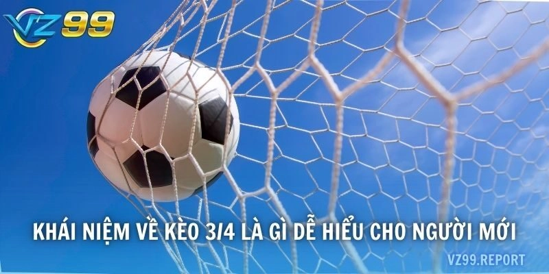 Khái niệm về kèo 3/4 là gì dễ hiểu cho người mới