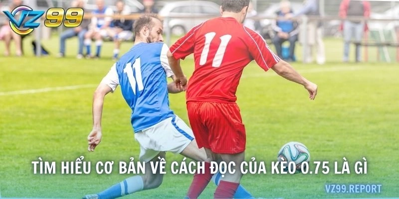 Tìm hiểu cơ bản về cách đọc của kèo 0.75 là gì