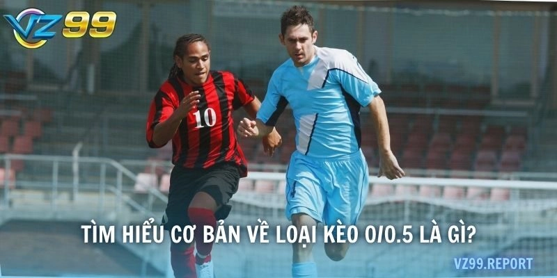 Tìm hiểu cơ bản về loại kèo 0/0.5 là gì?