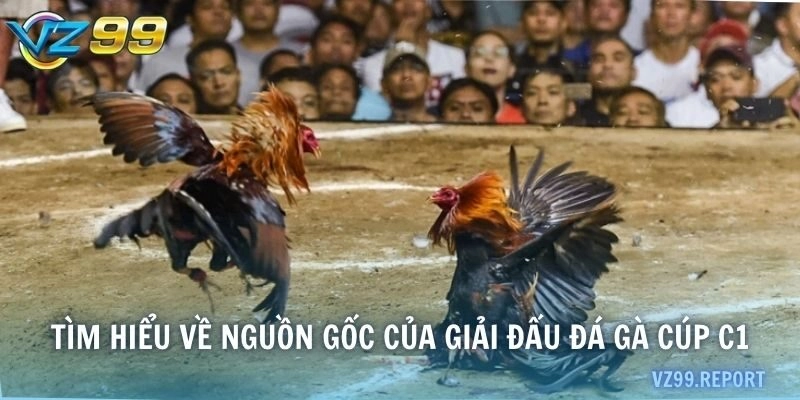 Tìm hiểu về nguồn gốc của giải đấu đá gà Cúp C1